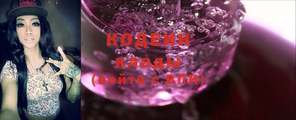 индика Балабаново