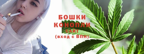индика Балабаново