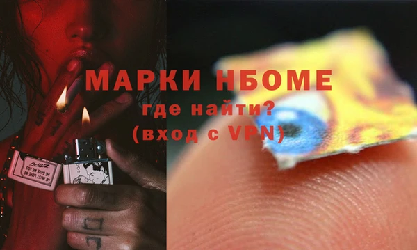 индика Балабаново