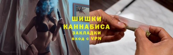 индика Балабаново