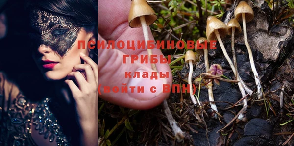 индика Балабаново