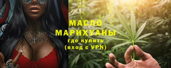 индика Балабаново