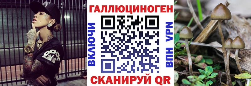 Псилоцибиновые грибы Cubensis  Заполярный 